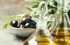 Польза оливкового масла для лица, волос, тела